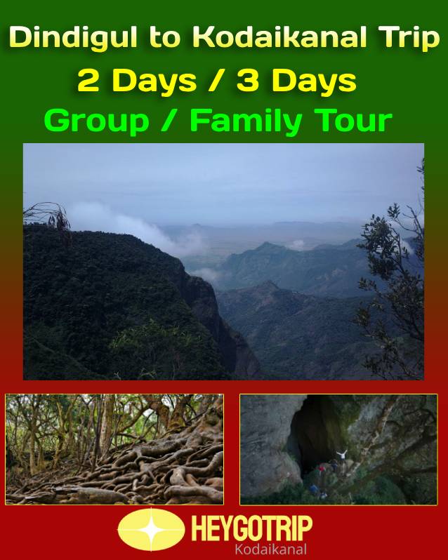 Dindigul to Kodaikanal Tour Package