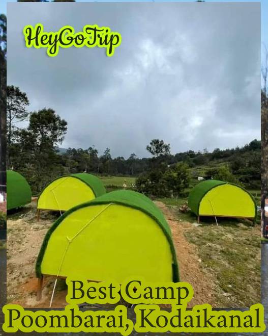 What is the best adventure camping in Kodaikanal?