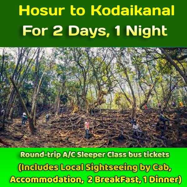 Hosur to Kodaikanal 2 Days Package